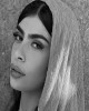 شقایق فیضی