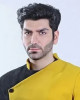 امیر صدهزاری